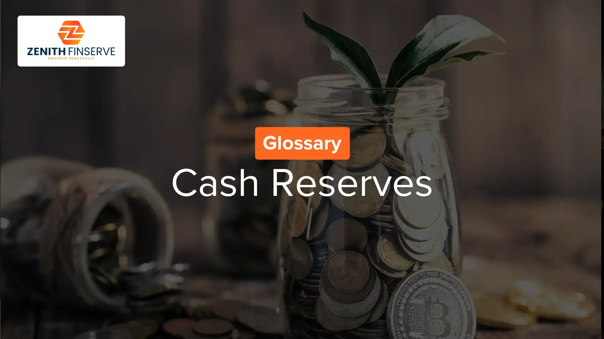 Cash Reserves